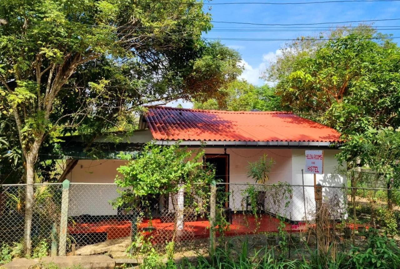 Helena Hostel Dikwella Esterno foto